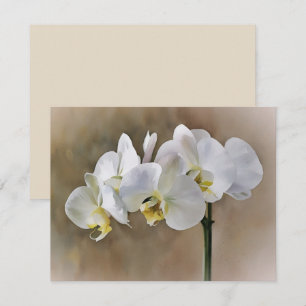 Weiße Orchideenblüten Kunst Notizkartenset  Mitteilungskarte
