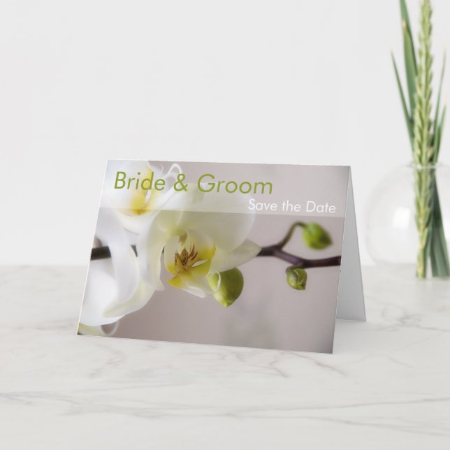 Weiße Orchideenkarte Save the Date Ankündigung (Vorderseite)