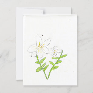 Weiße Osterlilie Postkarte