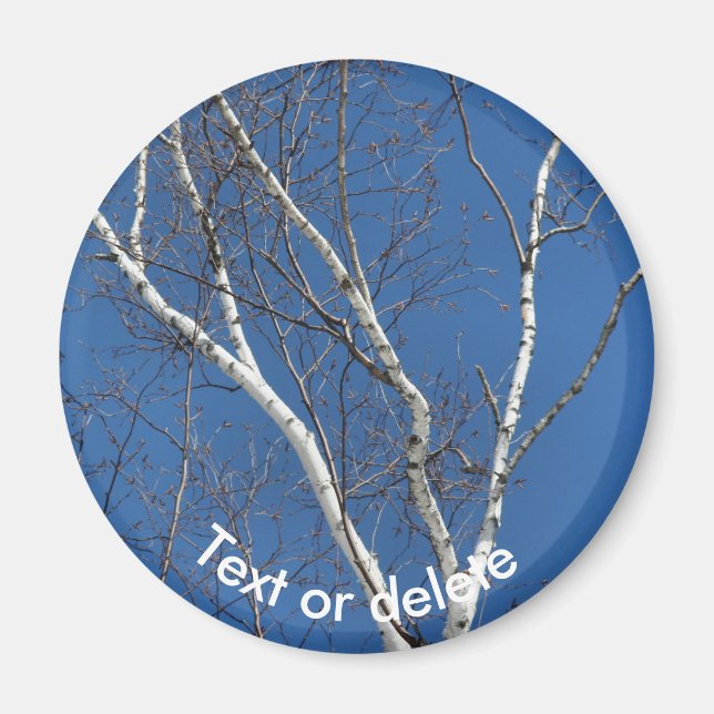 Weiße Papierbirke Blauer Himmel Natur Personalisie Magnet (Vorne)