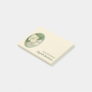 Weiße Pastelle Hydrangea Blütencreme Post-it Klebezettel