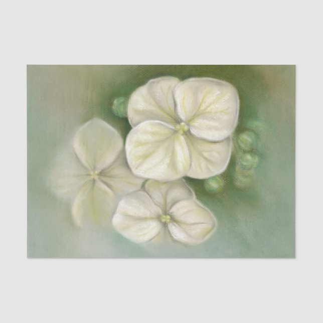 Weiße Pastelle Hydrangea Blütencreme Seidenpapier (Vorderseite)