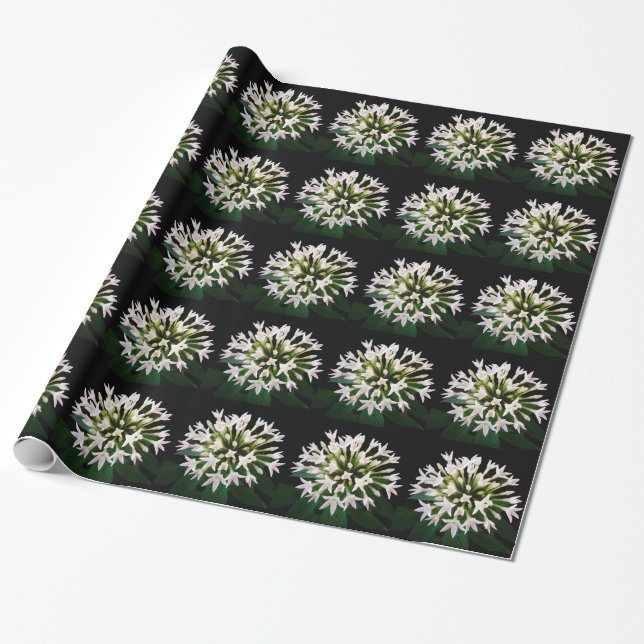 Weiße Pentas Geschenkpapier (Ungerollt)