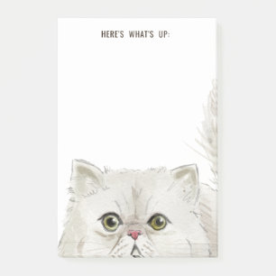 Weiße Perserkatze   Hier ist, was oben ist oder Ih Post-it Klebezettel