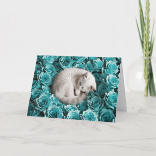 Weiße Perserkatze und Rose Karte