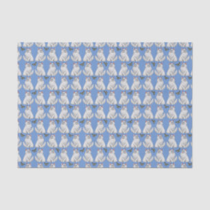 Weiße persische Katze mit Seidenpapier