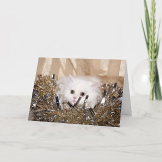 Weiße persische Katze Weihnachten