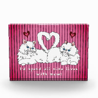 Weiße persische Katzen mit Herzvalentiner