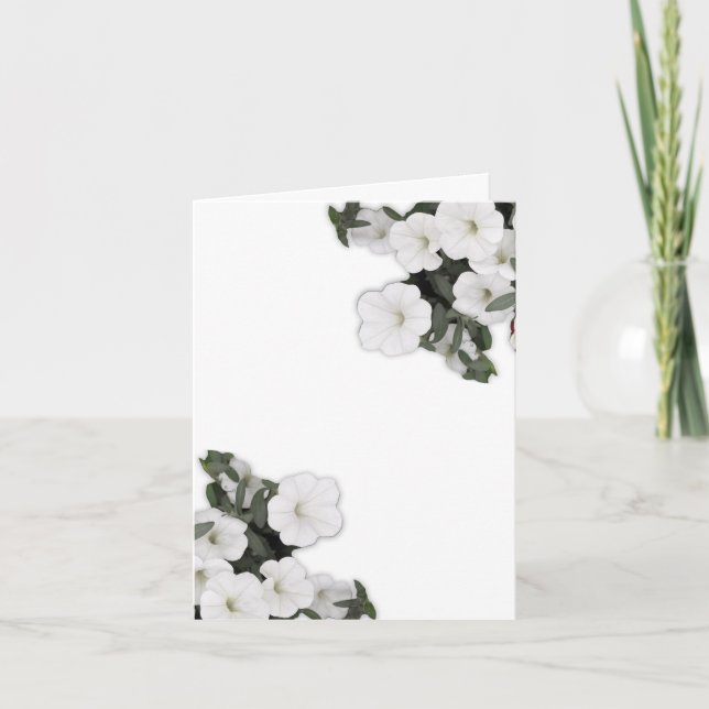 Weiße Petunia Einladung (Vorderseite)