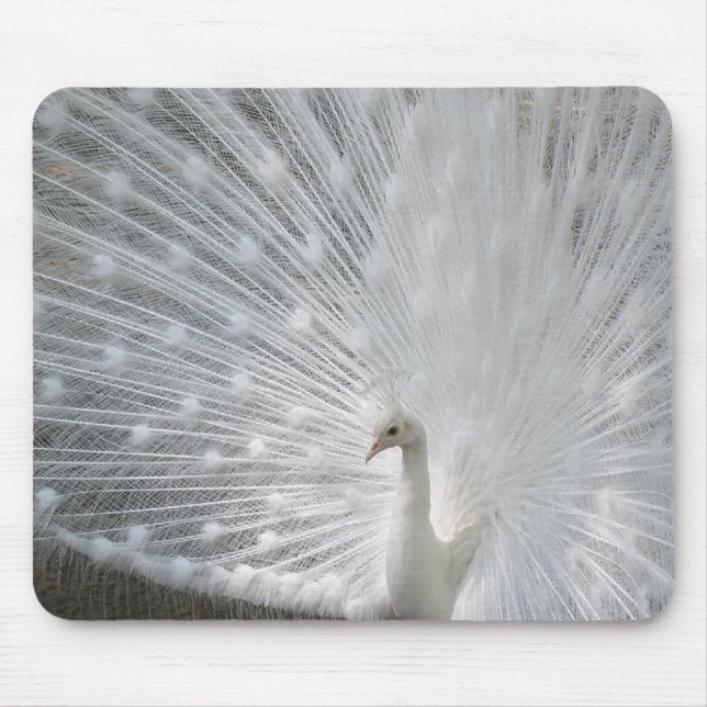 Weiße Pfau-Mausunterlage Mousepad (Vorne)