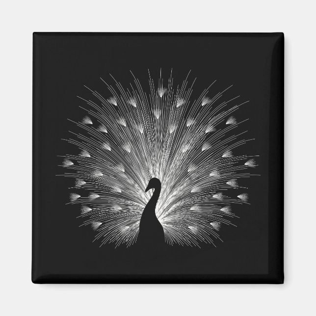 Weiße Pfaue Magnet (Vorne)