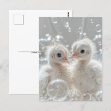 Weiße Pfauenbabys, Postkreuzung