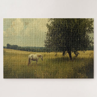 Weiße Pferde auf einem Feld