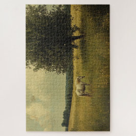 Weiße Pferde auf einem Feld