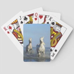 Weiße Pferde, die auf den Strandkarten spielen Spielkarten