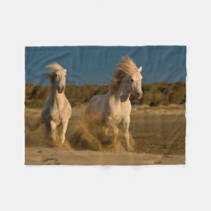 Weiße Pferde, die auf Strand   Camargue, Fleecedecke