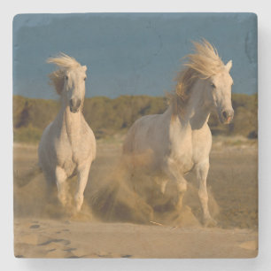 Weiße Pferde, die auf Strand   Camargue, Steinuntersetzer