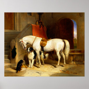 WEISSE PFERDE MIT HUNDEN UND FALKEN IN STABILER POSTER