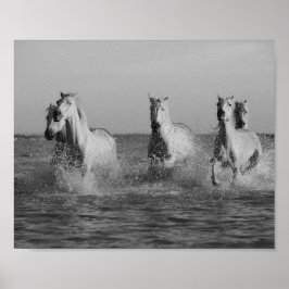 Weiße Pferde, Ozeanfotografie, Schwarzweiß Poster