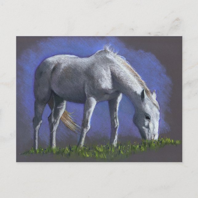 WEISSE PFERDE: REALISMUS FARBE PENCIL POSTKARTE (Vorderseite)