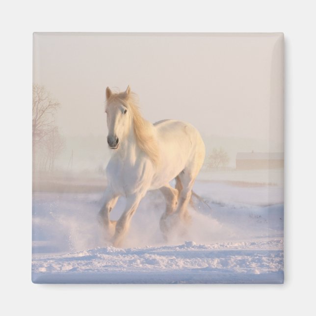 Weiße Pferde Western Reittiere Pony Magnet (Vorne)