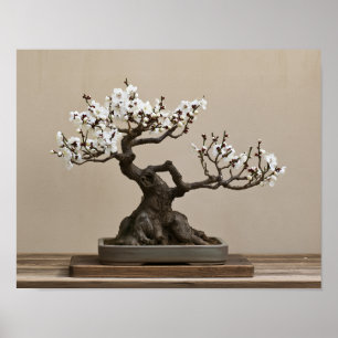 Weiße Pflaumen-Bonsai-Kunst Japanische Wandkunst Poster