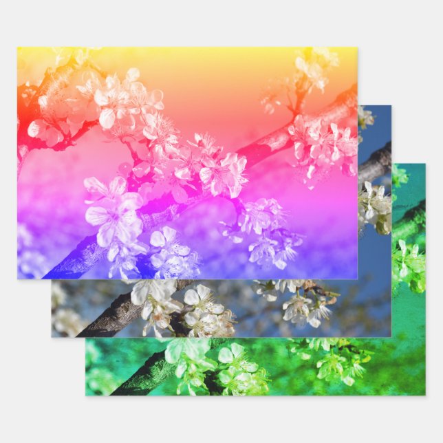Weiße Pflaumenblüten im Frühling Geschenkpapier Set (Set)