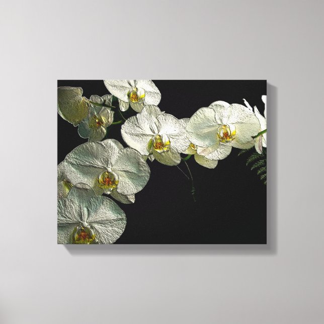 Weiße Phalaenopsis Orchid & Fern - Digitale Kunst Leinwanddruck (Vorderseite)