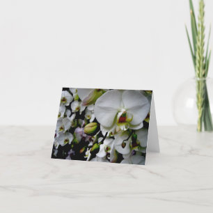 Weiße Phalaenopsis-Orchidee Notecard Karte