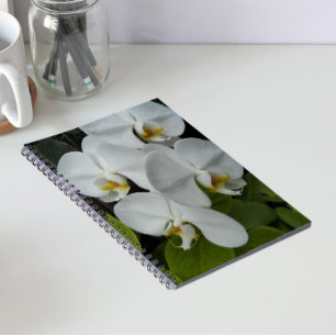 Weiße Phalaenopsis-Orchideen Blumen Notizblock