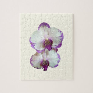 Weiße Phalaenopsis-Orchideen mit violetten Rändern