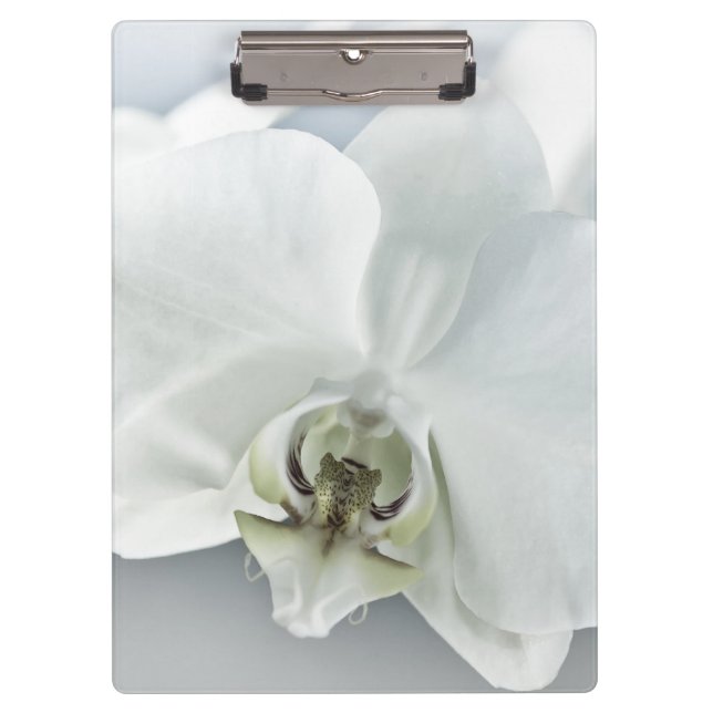 Weiße Phaleonopsis Orchid Klemmbrett (Vorderseite)