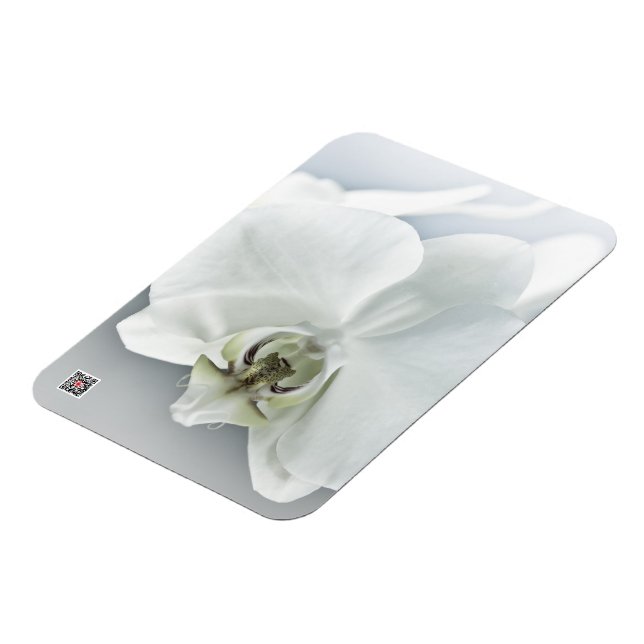 Weiße Phaleonopsis Orchid Magnet (Linke Seite)