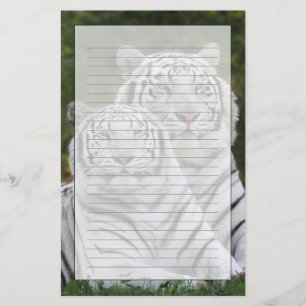 Weiße Phase, Bengal Tiger, Tigris Briefpapier