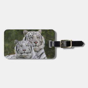 Weiße Phase, Bengal Tiger, Tigris Gepäckanhänger