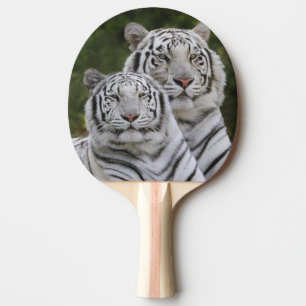 Weiße Phase, Bengal Tiger, Tigris Tischtennis Schläger