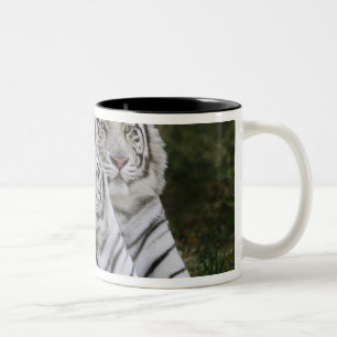 Weiße Phase, Bengal Tiger, Tigris Zweifarbige Tasse