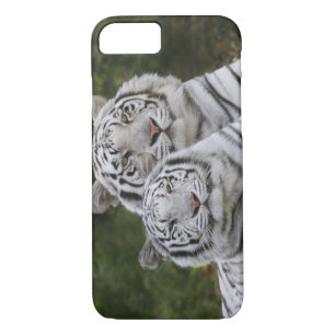 Weiße Phase, Bengalischer Tiger, Tigris Case-Mate iPhone Hülle