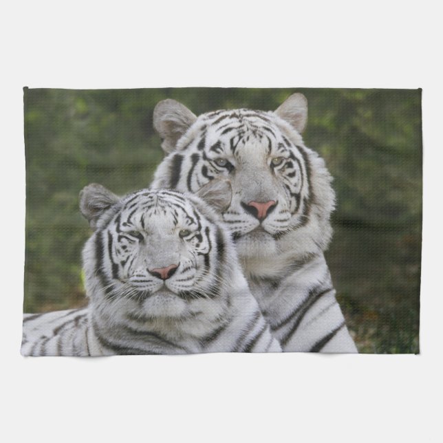 Weiße Phase, Bengalischer Tiger, Tigris Geschirrtuch (Horizontal)