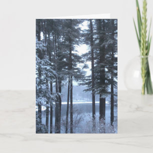 Weiße Pines in blauem Licht — Feiertagskarte