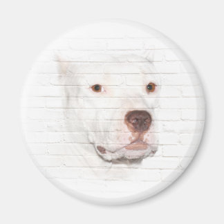 Weiße Pitbulle-Terrier Magnet
