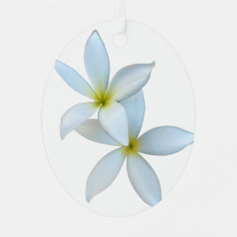 Weiße Plumeria Bloom Metal Ornament Aus Metall
