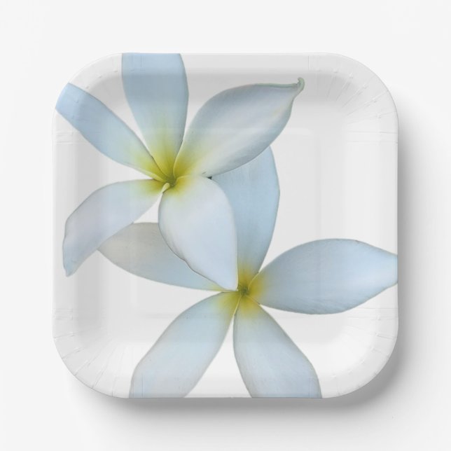 Weiße Plumeria Blooms Papierplatte Pappteller (Vorderseite)