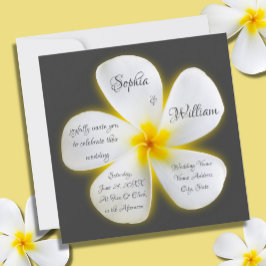 Weiße Plumeria-Blume auf dem modernen Platz, Hochz Einladung