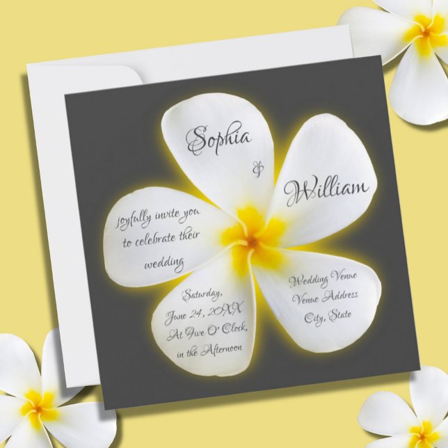 Weiße Plumeria-Blume auf dem modernen Platz, Hochz Einladung (Von Creator hochgeladen)