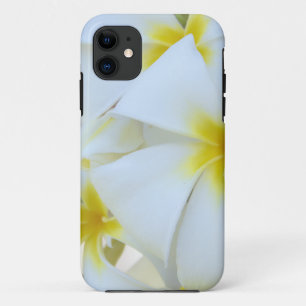 Weiße Plumeria-Blumen iPhone 11 Hülle