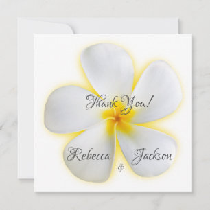 Weiße Plumeria-Blüte, Gelb, Hochzeit, Danke