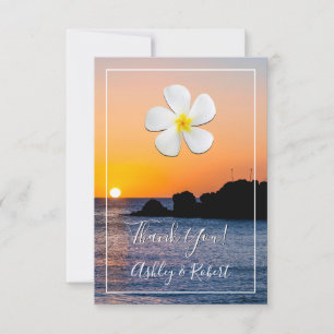 Weiße Plumeria-Blüte, Goldener Sonnenuntergang, Da Einladung