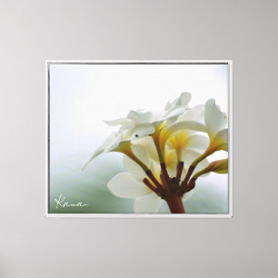 Weiße Plumeria-Blüten Kauai (von mir aufgenommen) Leinwanddruck