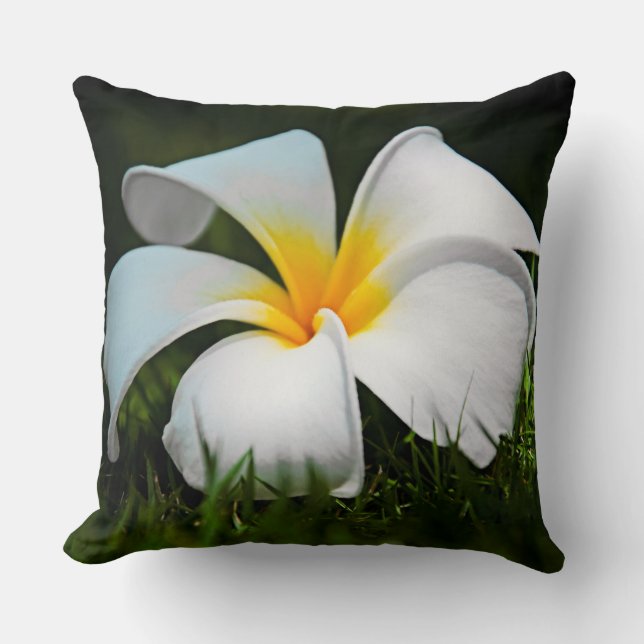 Weiße Plumeriafrangipani-Hawaii-Blume Kissen (Vorderseite)